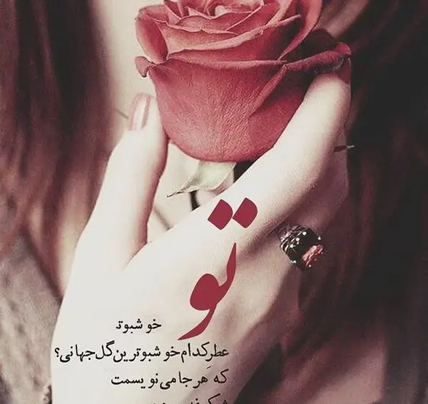 عکس عاشقانه بهاری دونفره