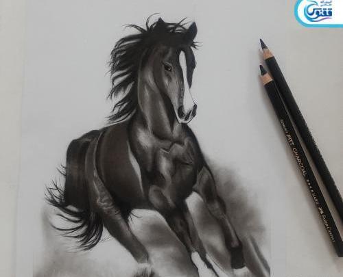 عکس اسب طراحی سیاه قلم