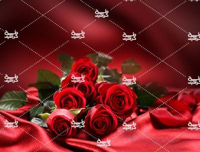 عکس گل زیبا برای تصویر زمینه