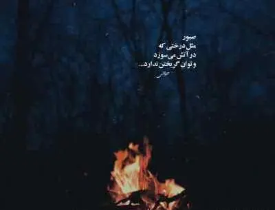 عکس خوشگل ما چشمان آهو دارد