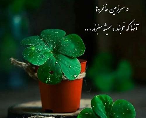 عکس خوشگل ما چشمان آهو دارد