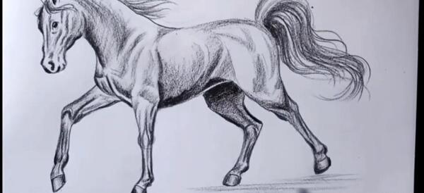 عکس اسب وحشی نقاشی
