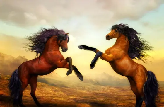 عکس اسب وحشی نقاشی