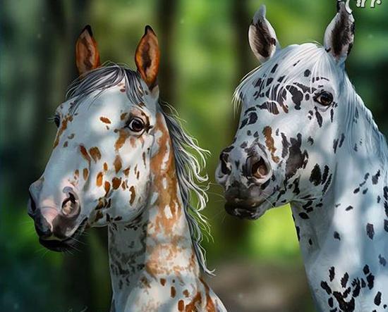 عکس اسب های زیبای جهان