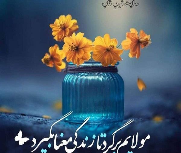 عکس پروفایل حضرت مهدی جدید