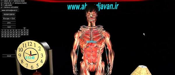 عکس تصاویر سه بعدی آناتومی بدن انسان