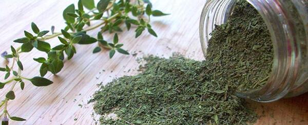 دانلود عکس گیاه آویشن