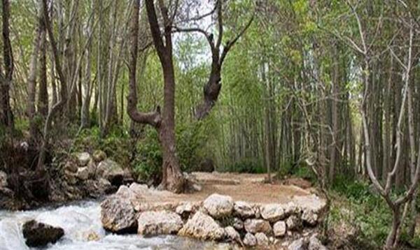 عکس های آتشگاه لردگان