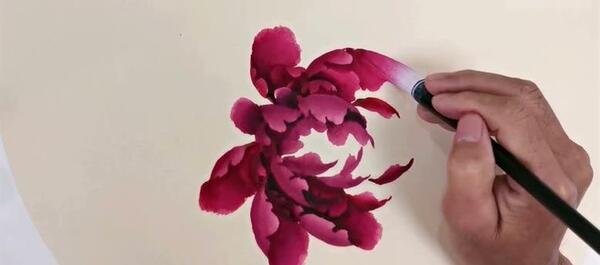 عکس گل صد برگ نقاشی