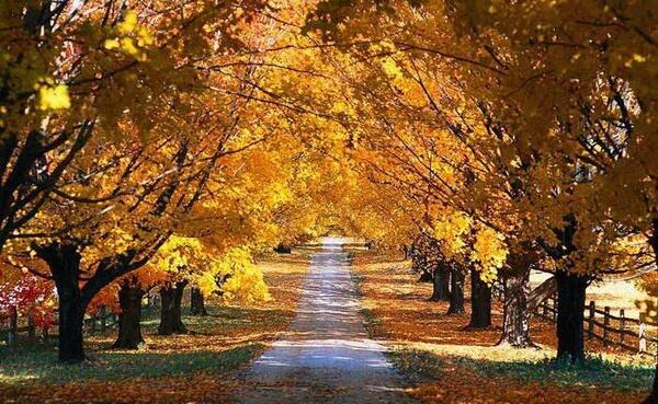 عکس چهار فصل بهار