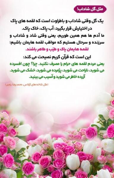 عکس گل شاداب