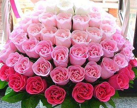 عکس گل شاداب