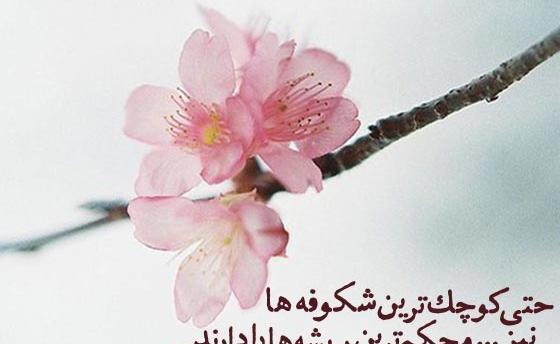 عکس نوشته های زیبای بهاری