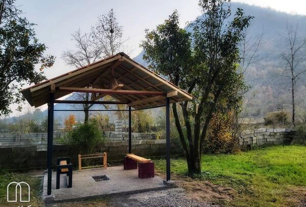 عکس از بهار خواب