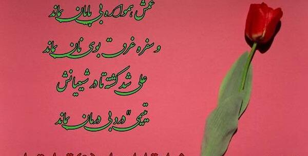 عکس پروفایل شب شهادت امام علی