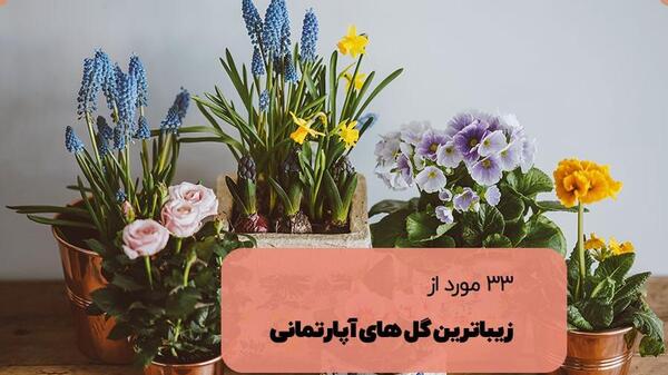 عکس گل های قشنگ جدید