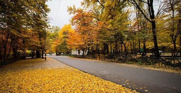 عکس های زیبا از طبیعت گرگان