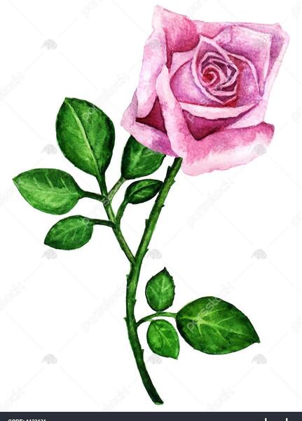 عکس گل کوچک برای نقاشی