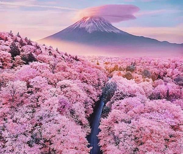 عکس پروفایل بهاری عاشقانه