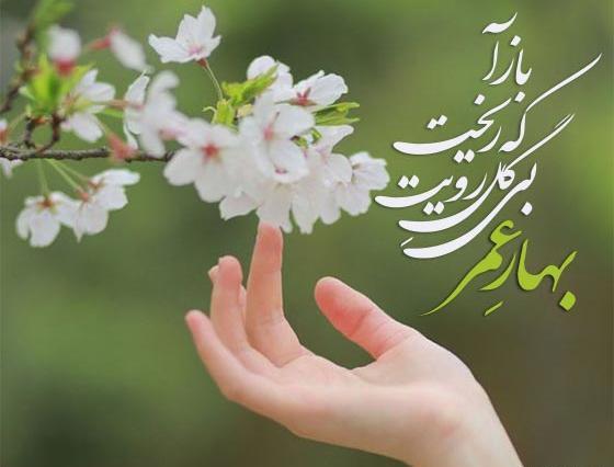 عکس پروفایل بهاری عاشقانه