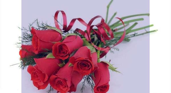عکس گل آبی و سفید
