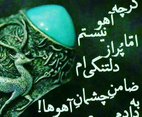 عکس نوشته یا ضامن اهو