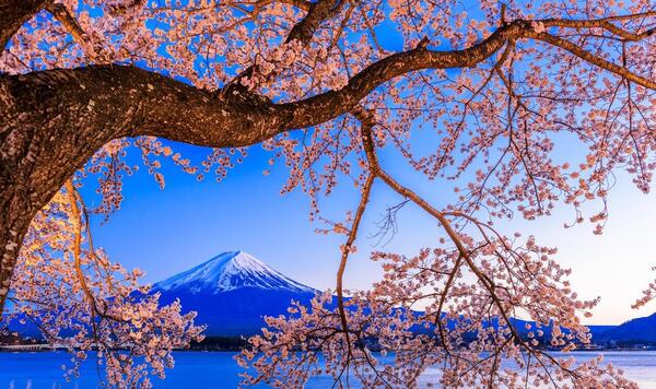 منظره زیباترین عکس طبیعت بهاری