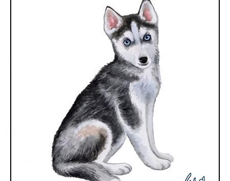عکس گرگ سیاه قلم