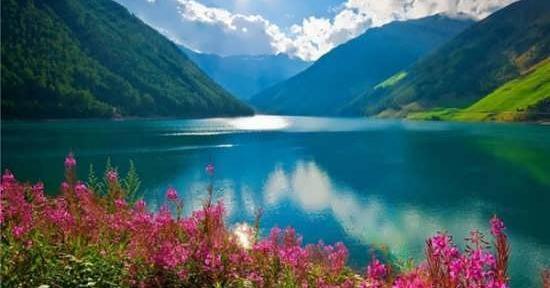 عکس منظره طبیعت تابستانی