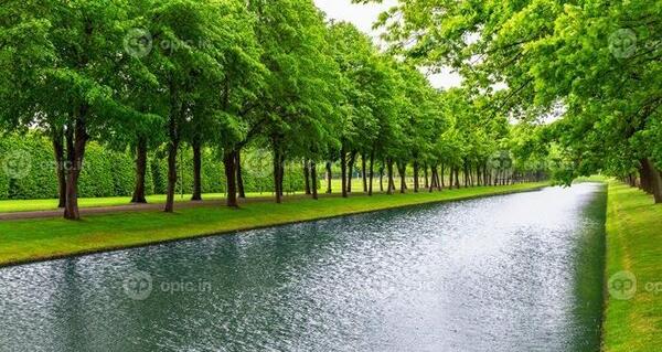 عکس منظره طبیعت تابستانی
