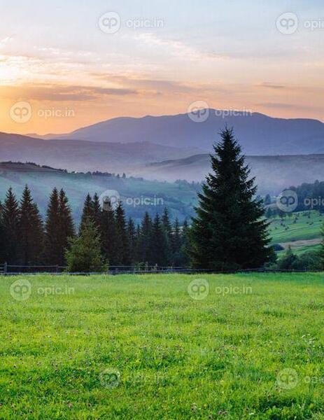 عکس منظره طبیعت تابستانی