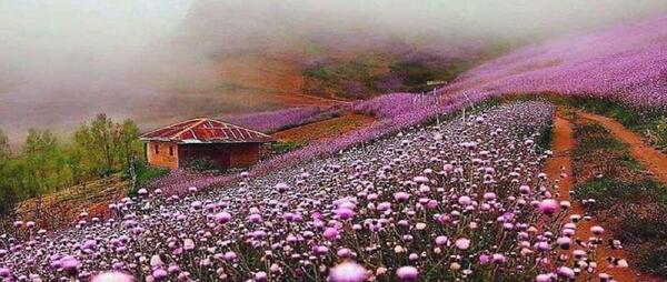 عکس های زیبا از طبیعت اردبیل