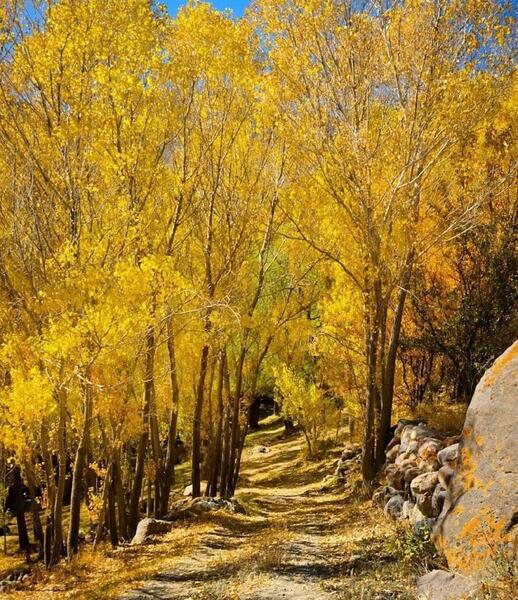 عکس از طبیعت کوهستانی