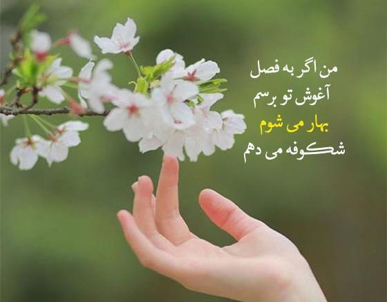 عکس دونفره بهاری عاشقانه