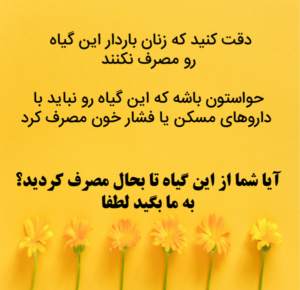 عکس گل همیشه بهار دارویی