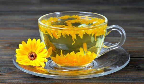عکس گل همیشه بهار دارویی