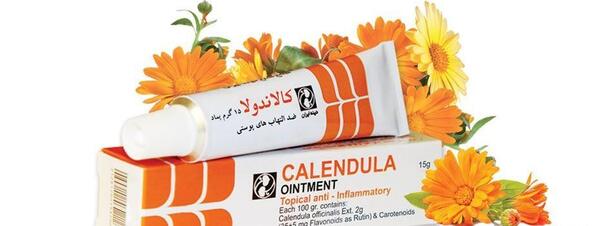 عکس گل همیشه بهار دارویی