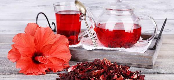 عکس گل چای قرمز