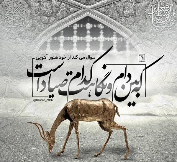 عکس نوشته های یا ضامن آهو