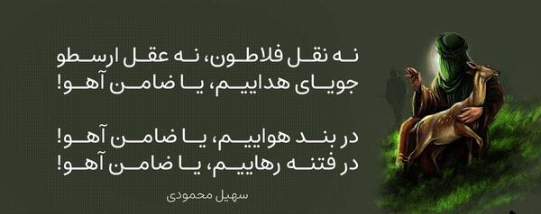 عکس نوشته های یا ضامن آهو