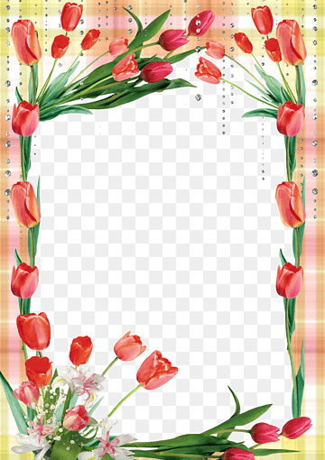 عکس گل حاشیه قاب