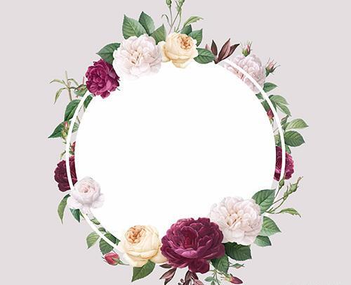 عکس گل حاشیه قاب