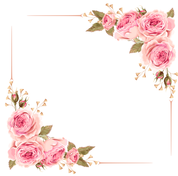 عکس گل حاشیه قاب
