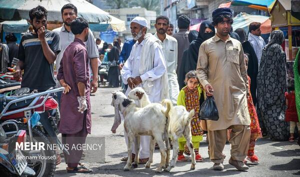 عکس چابهار بازار