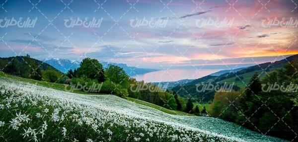 عکس طبیعت بهار زیبا