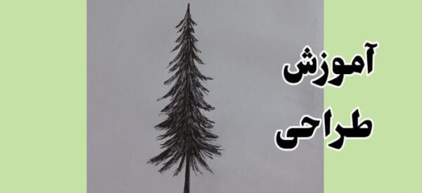 عکس طبیعت درخت کاج