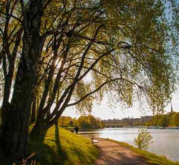 عکس هایی از طبیعت سوئد
