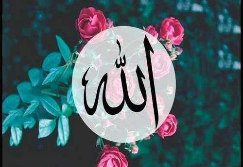 عکس پروفایل الله با گل