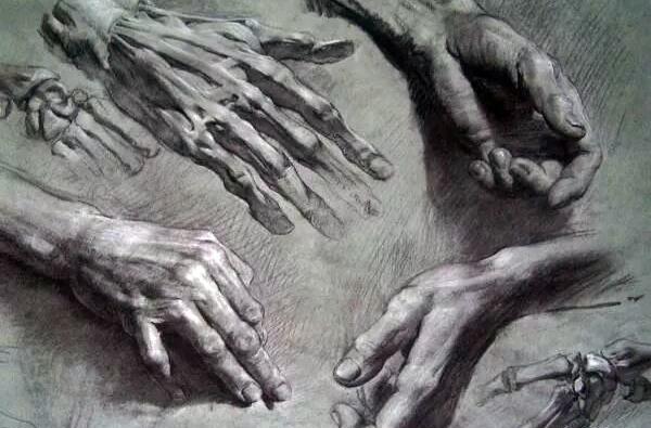عکس آناتومی بدن طراحی