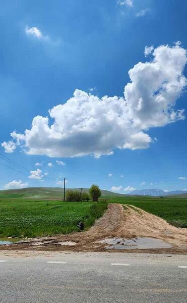 عکس هایی از طبیعت ساده